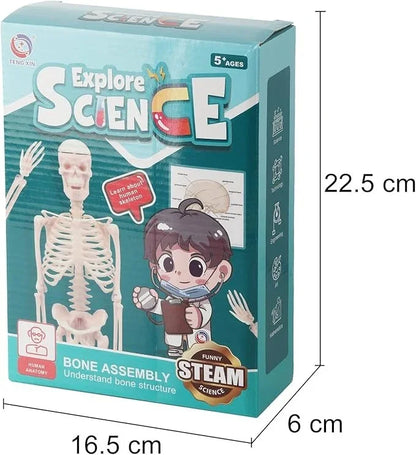 teng-xin-explore-science-bone-assembly-skeleton-toy_2 - NIMAH